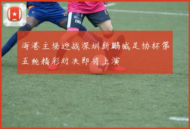 海港主场迎战深圳新鹏城足协杯第五轮精彩对决即将上演