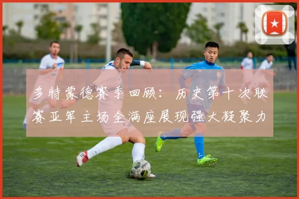 多特蒙德赛季回顾：历史第十次联赛亚军主场全满座展现强大凝聚力