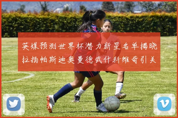 英媒预测世界杯潜力新星名单揭晓拉扬帕斯迪奥曼德武什科维奇引关注